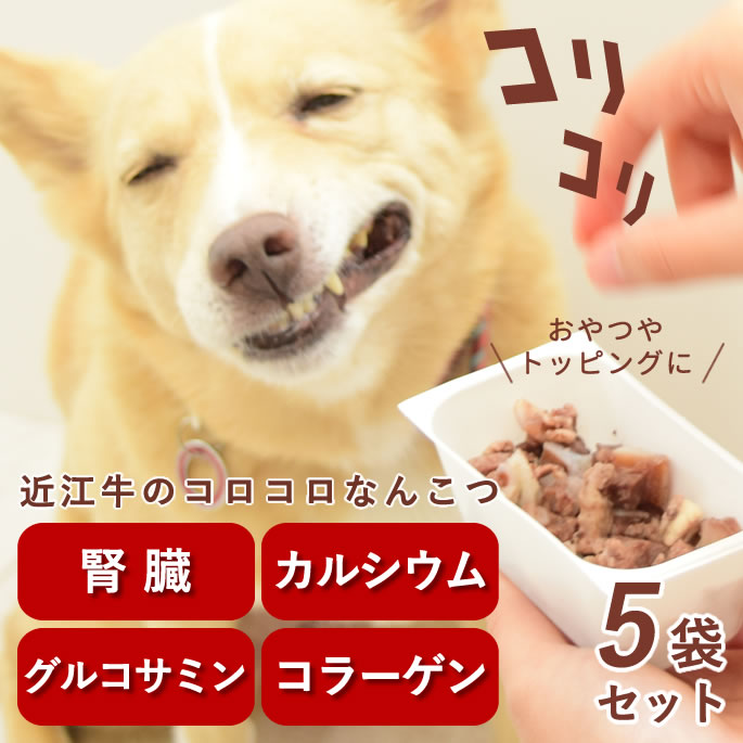 【割引クーポン配布中】犬 トッピング｜近江牛のコロコロなんこつ 5袋セット 無添加 おやつ 手作りご飯 低リン 腎臓 腎臓ケア カルシウム補給 国産 小型犬 子犬 パピー シニア 老犬 関節ケア 牛肉 食いつき 食べムラ 偏食 食べない