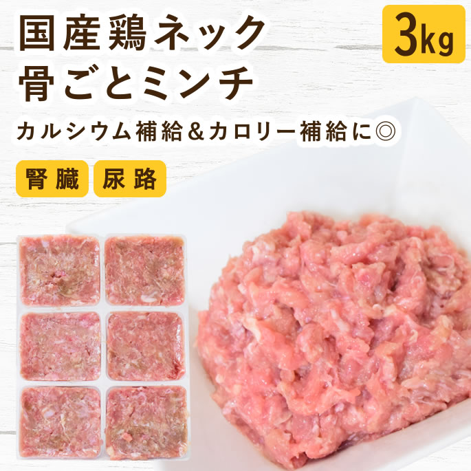 百貨店大売り出し特設ペイジ