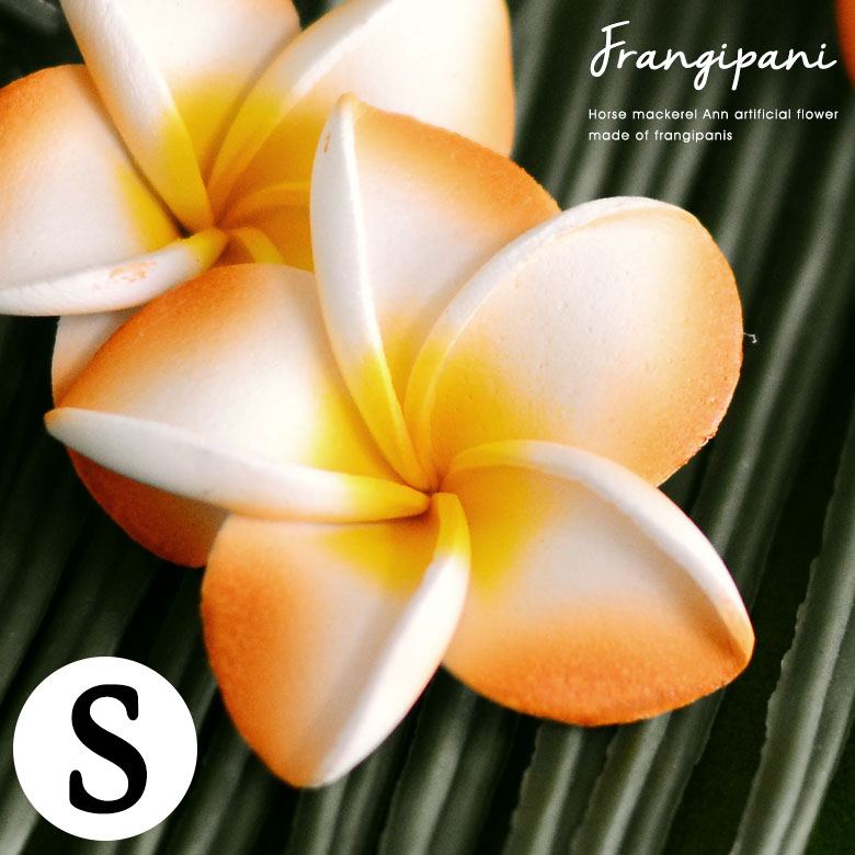 楽天市場】【最大2000円クーポン】 アロマウッド プルメリア 木彫り