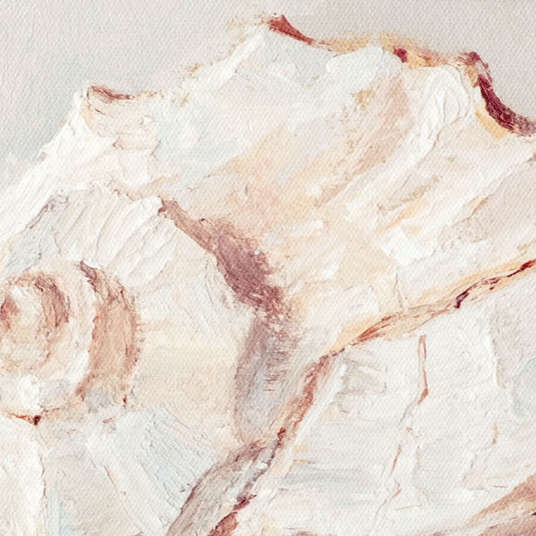 新品本物 アートパネル シェル 貝 キャンパス パネル イラスト デッサン 約 W 30cm D H 2 7cm アート キャンパスアート 絵画 壁掛け プリント Snail Spiral Shell Nautilus ウォール デコレーション 北欧 インテリア おしゃれ リゾート アジアン 雑貨