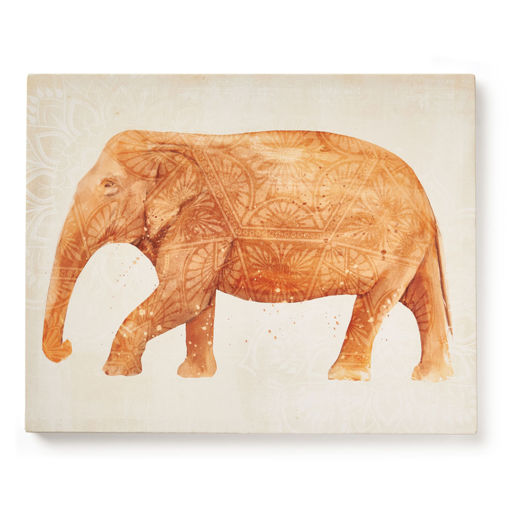 最大47 Offクーポン アートパネル 象 イラスト テラコッタ 横長 約 W 50cm D 40cm H 2 7cm キャンバスアート アートポスター 壁飾り 壁掛け 絵画 ウォールデコレーション ぞう ゾウ アフリカン サバンナ おしゃれ モダン 北欧 韓国 リゾート アジアン 雑貨 アジアン雑貨