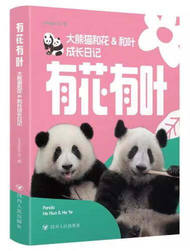 楽天市場】【訳あり 店頭展示品】『熊猫福宝』【 輸入書 簡体字