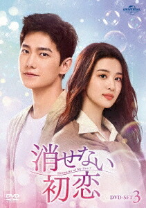 中国ドラマ/消せない初恋-第27話～第40話(完)- (DVD-SET3) 日本盤　我的人間煙火　Fireworks of My Heart