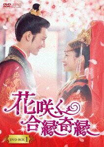 中国ドラマ/ 花咲く合縁奇縁 -第1話~第16話- (DVD-BOX 1) 日本盤 花好月又圓 TRUTH AND DARE