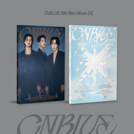 CNBLUE 4GIFTSヨンファ ジョンシン ミニョク DVD バラ売り可 CNBLUE 公式ペンライトヨンファミニョクジョンシン