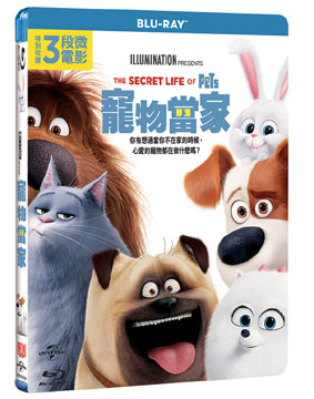 宅配 The 台湾盤 Blu Ray ペット 映画 Secret ブルーレイ Pets Of Life 海外アニメ Www Mmpaisajismo Cl