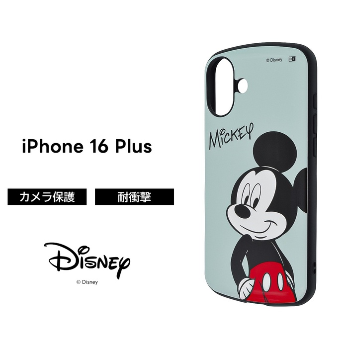 ディズニー キャラクター ファスナー付き ケース ファイル 実写 ミッキー ディズニー キャラクター ファスナー付き ケース ファイル 実写