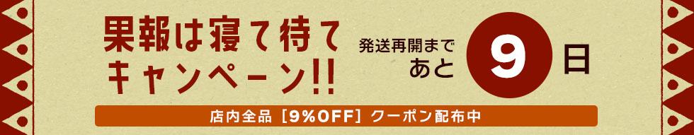 楽天市場】【再入荷予定】トップス レディース ユニセックス ゲリポケット ゆったりシンプルクルタ コットン ブラック カーキ ベージュ【メール便OK】《アジアン  ファッション エスニック ファッション エスニック カットソー 長袖 ゆったり トップス レディース ethnic ...