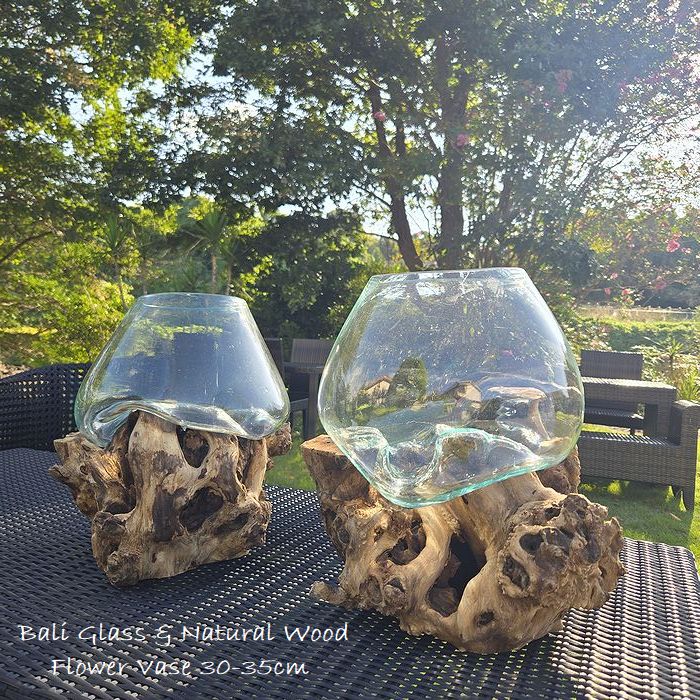 楽天市場】【あす楽】 流木 【おまかせ3本セット マングローブ 流木 S