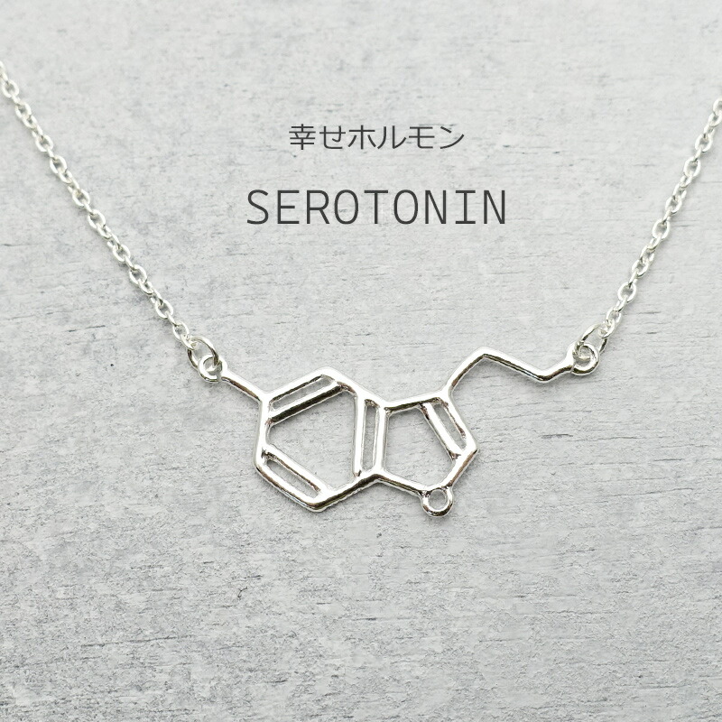 ネックレス 化学式 セロトニン レディース アクセサリー シルバー925 アレルギー対応 サイエンス ジュエリー 母の日 プレゼント ギフト 30代 40代 50代 6,557円
