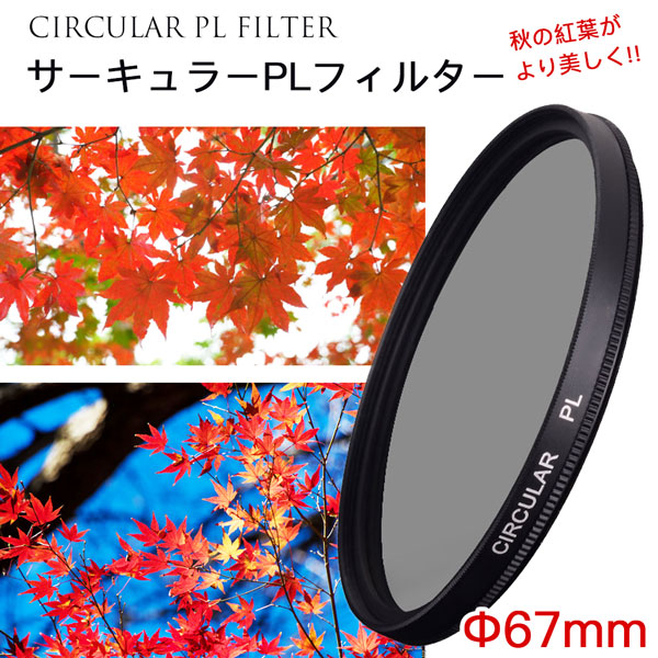 楽天市場】【秋の紅葉がもっと綺麗に!!】【メール便 送料無料】【C-PL
