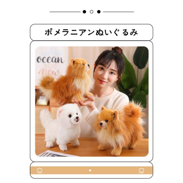 楽天市場】ぬいぐるみ ポメラニアン 犬のぬいぐるみ リアル