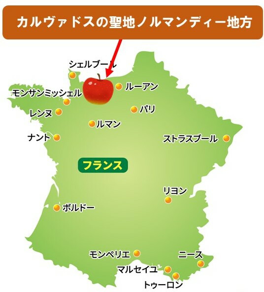 高級感 送料 ラッピング無料 マスネ ポムプリゾニエール りんご実入カルヴァドス ブランデー 700ml 40度 箱入 並行輸入品 Toyama Nozai Co Jp