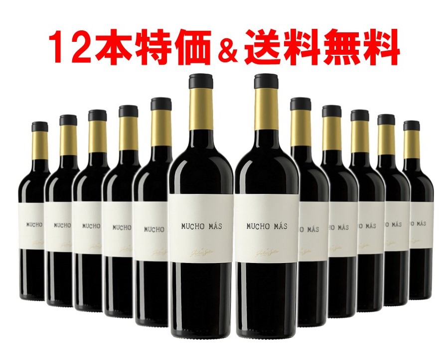 スペインワイン ムーチョマス 赤 フェリックス ソリス アヴァンティス 750ml 赤ワイン セット 12本 ワインセット フルボディ スペイン ワイン 人気 ケース 業務 お得 まとめ買い ムーチョ マス|味屋 店