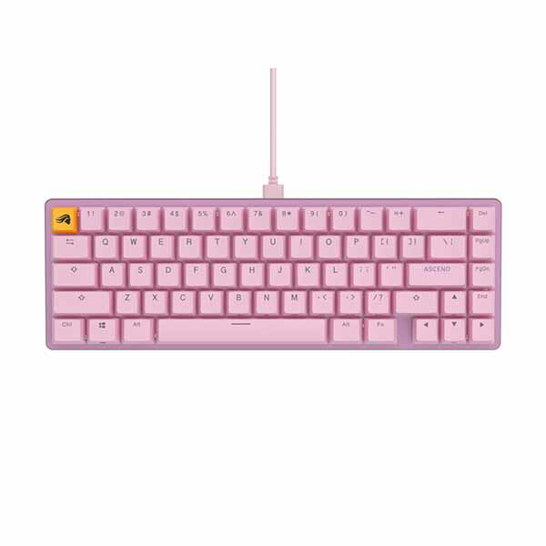 【継続期間制限事項】社会的運動中 お買い得品