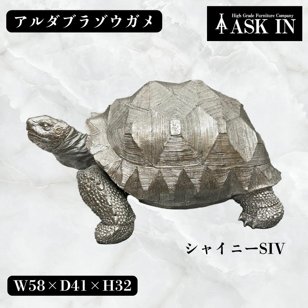 フランス雑貨 アンティーク風海亀女 小物入れ1800年代モチーフ 貴重希少 楽天市場】Sea turtle ウミガメの小物入れ 置物 ボックス 飾り