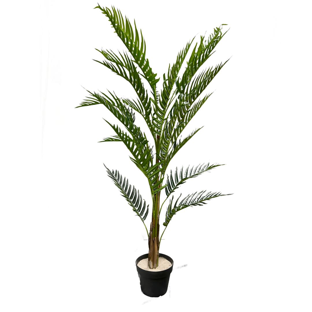 フェイクグリーン エバーフレッシュ 60×150 今めかしい 緑であること 緑 可愛らしい 観葉草木 造花 室内装飾 ダイアログボックス 木ノ葉 造花 草木 リビング 部屋の入り口 赤ちょうちん 喫茶店 差し上げ物 差し上げ物 差し上げ物 生まれ落ちる日 祝する日 営造祝賀会 引き越す祝賀会 成人女性 御祭り 営造祝賀会 差し上げ物 アスクはたご屋 ASK IN