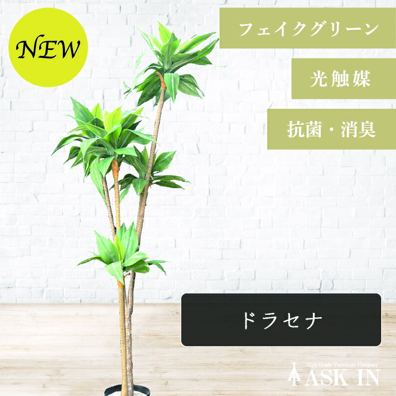ドラセナ 人工観葉植物 165cm 光触媒 抗菌 防臭 観葉植物 造花 フェイクグリーン インテリアグリーン 水やり不要 お手入れ簡単 枯れない 虫がわかない 植物 おしゃれ リビング 玄関 プレゼント サロン カフェ 新築 ギフト アスクイン ASK IN カストラ｜アスク・イン　店
