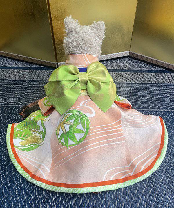 楽天市場】as know as 見返り振袖長ー白百合色ー 犬 着物 デワン : AS