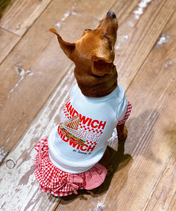 as know as Ｎデリシャス☆ＰＯ 犬 カットソー Tシャツ サンドイッチ パンケーキ レトロ 犬服 ドッグウェア かわいい おしゃれ カジュアル デワン 6,431円