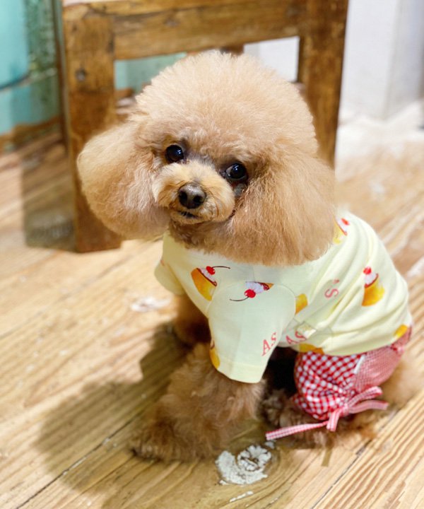 壱ちゃんとお一揃い個条