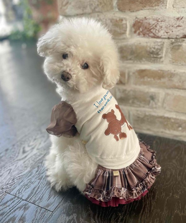 楽天市場】as know as Nくまっチュチュ☆T 犬 カットソー Tシャツ