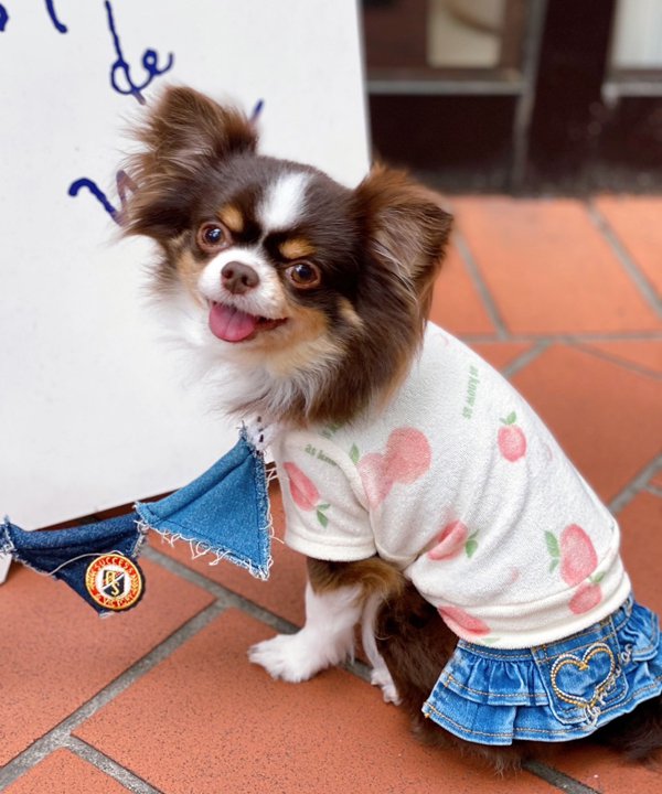 as know as NピーチパイルT 犬 カットソー Tシャツ ピーチ 桃 パイル かわいい おしゃれ 犬服 ドッグウェア デワン