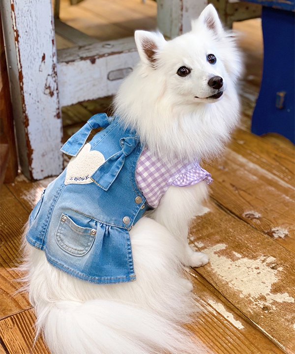 楽天市場】as know as Happyロンパース 犬 カットソー ワンピース