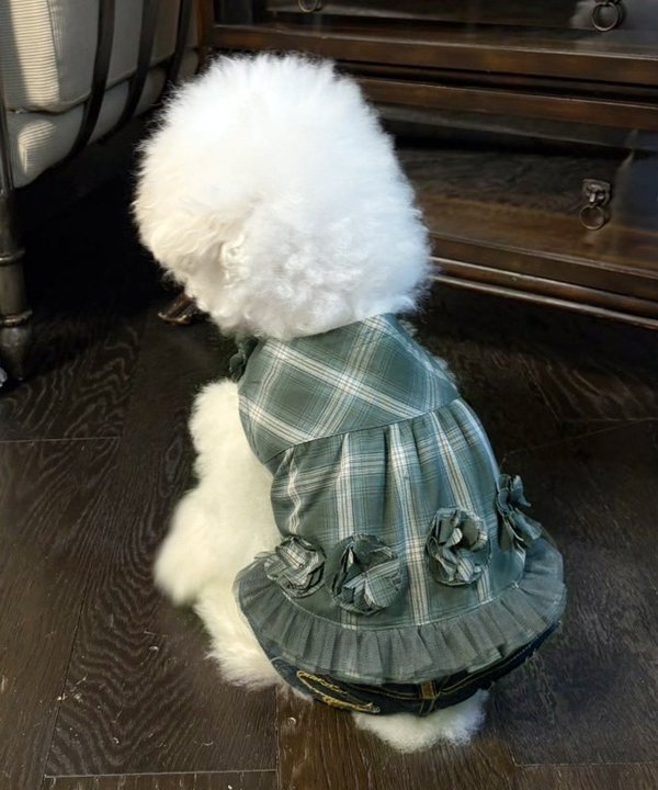 一ちゃんとお一揃い品目