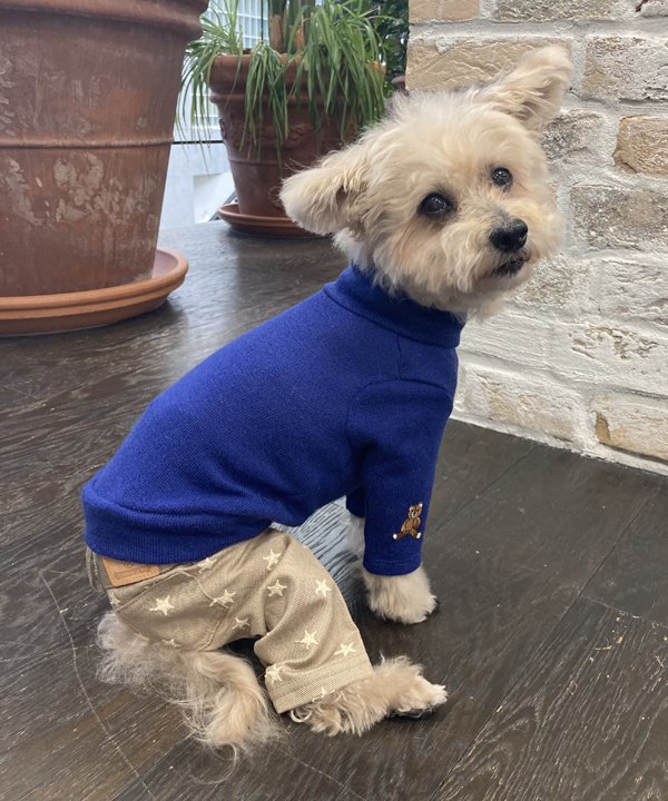 楽天市場】【期間限定P5倍】as know as レオパード柄サロペPT 犬