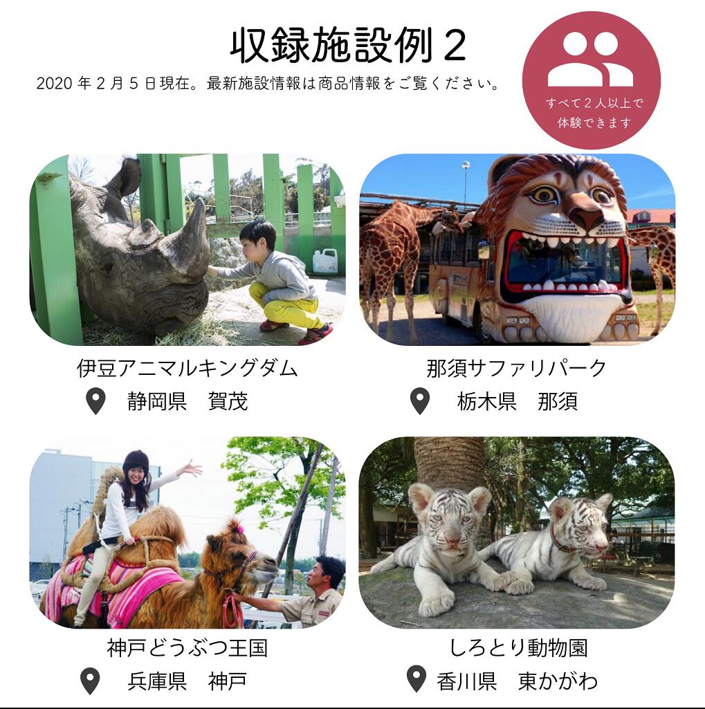 楽天市場 体験ギフト 動物園 サファリパークギフト カタログギフト チケット おしゃれ 結婚祝い 子供 誕生日プレゼント 結婚内祝い プレゼント 内祝い お返し カップル 記念日 記念日ギフト ギフト 入学祝い 景品 出産内祝い 退職祝い あす楽 送料無料