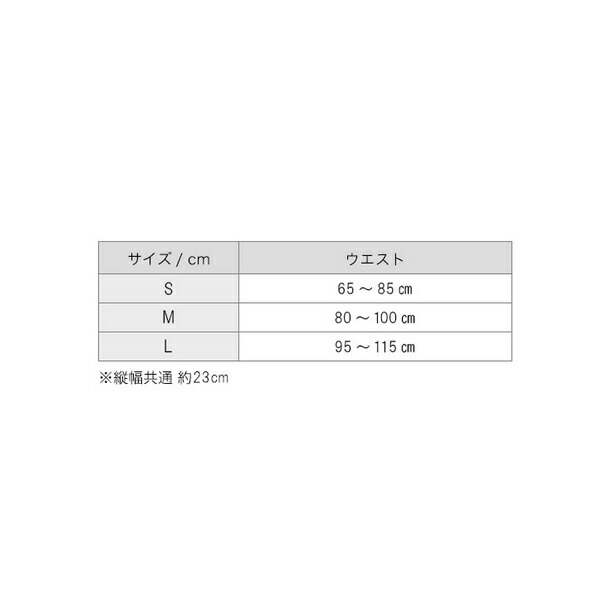 93 Off Phiten ファイテンサポーター メタックス腰用 ミドルタイプサイズ Fucoa Cl