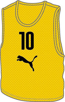 楽天市場】Soccer Junky / サッカージャンキー ちりょく+1ビブス10枚