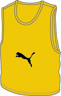 楽天市場】PUMA プーマ ビブス 番号なし ロゴ サッカー フットサル