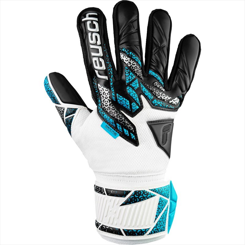 楽天市場】[reusch]ロイシュ キーパーグローブ アトラクト フリーゲル