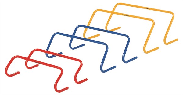 エバニュー Evernew 【メーカー直送品】 ミニハードル25 5台入 体育 授業 体育授業 体つくり 部活 運動 ミニハードル  EGA153 楽天市場】【12/18 から ポイント最大15倍！】 エバニュー Evernew