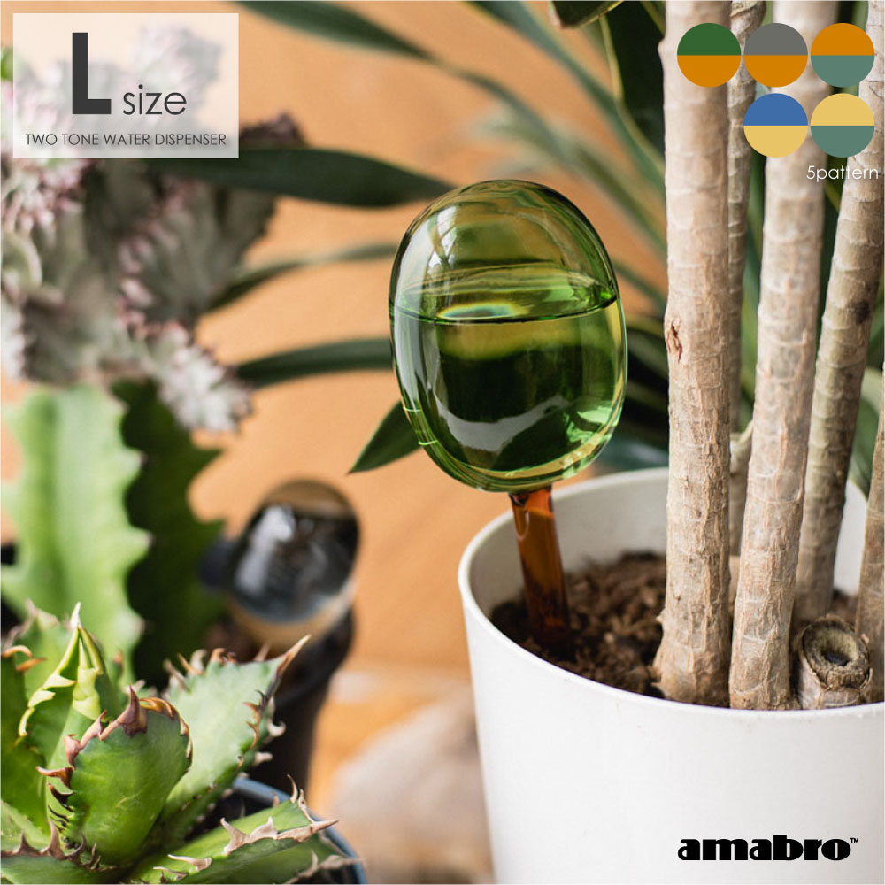 板付けビカクシダ専用 ドリップ式給水器 20個 楽天市場】爬虫類