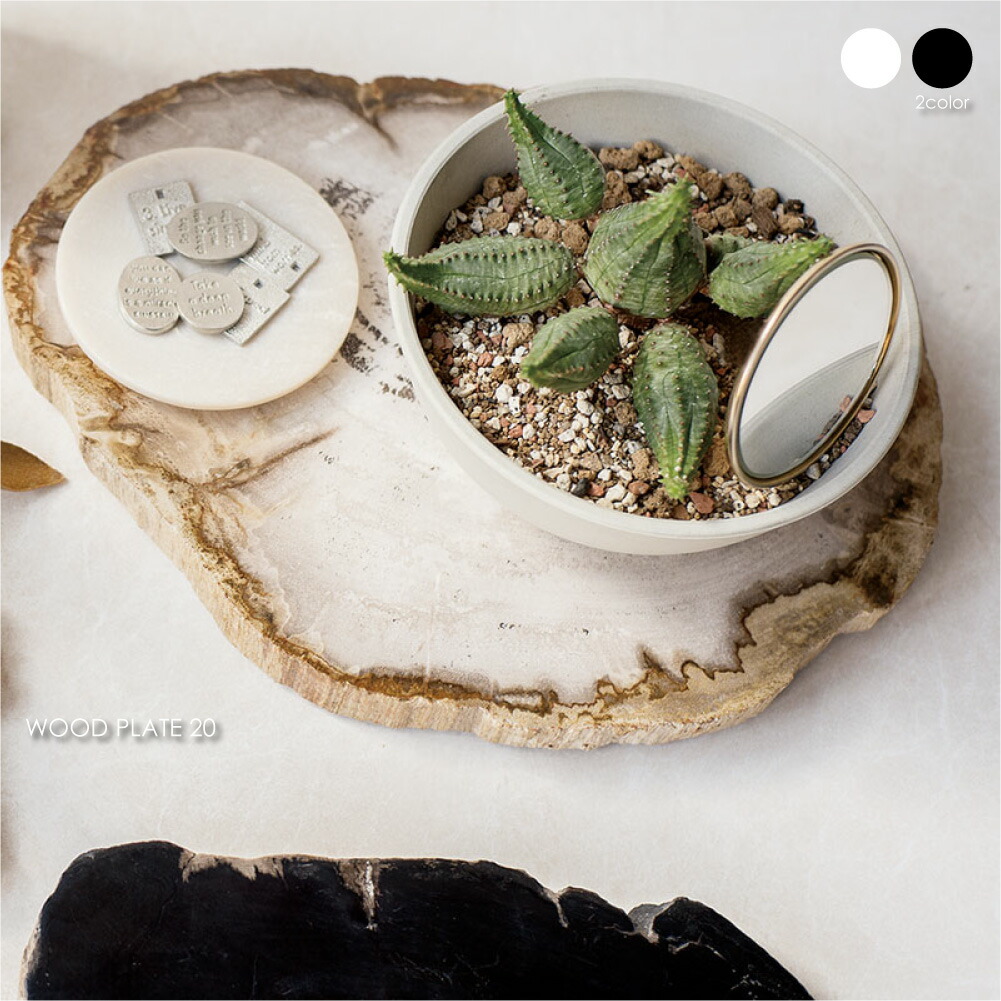 【本日限定SALE】珪化木 フォッシル プレート インテリア 置き物 珪化木 フォッシル プレート 置き物 本日限定SALE】珪化木