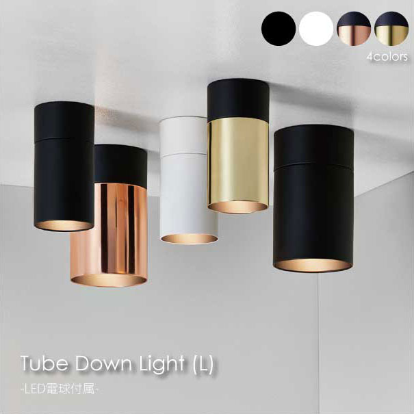 【LED電球付属】ARTWORK STUDIO Tube down light(L) 1灯 ダウンライト スポットライト 天井照明 モダン アルミ おしゃれ インテリア ライト ランプ 60W LED AW-0525E｜asquisse