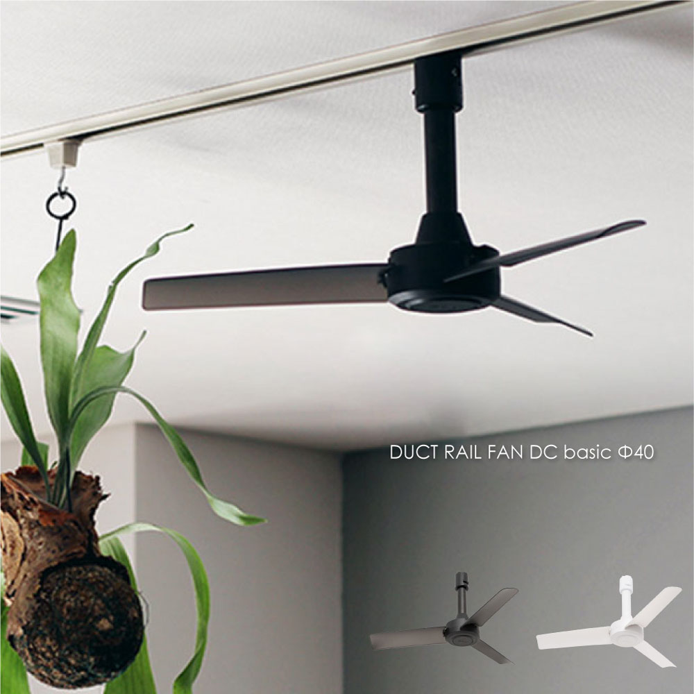 楽天市場】DAIKO ASN-009W 灯具なしシーリングファン白