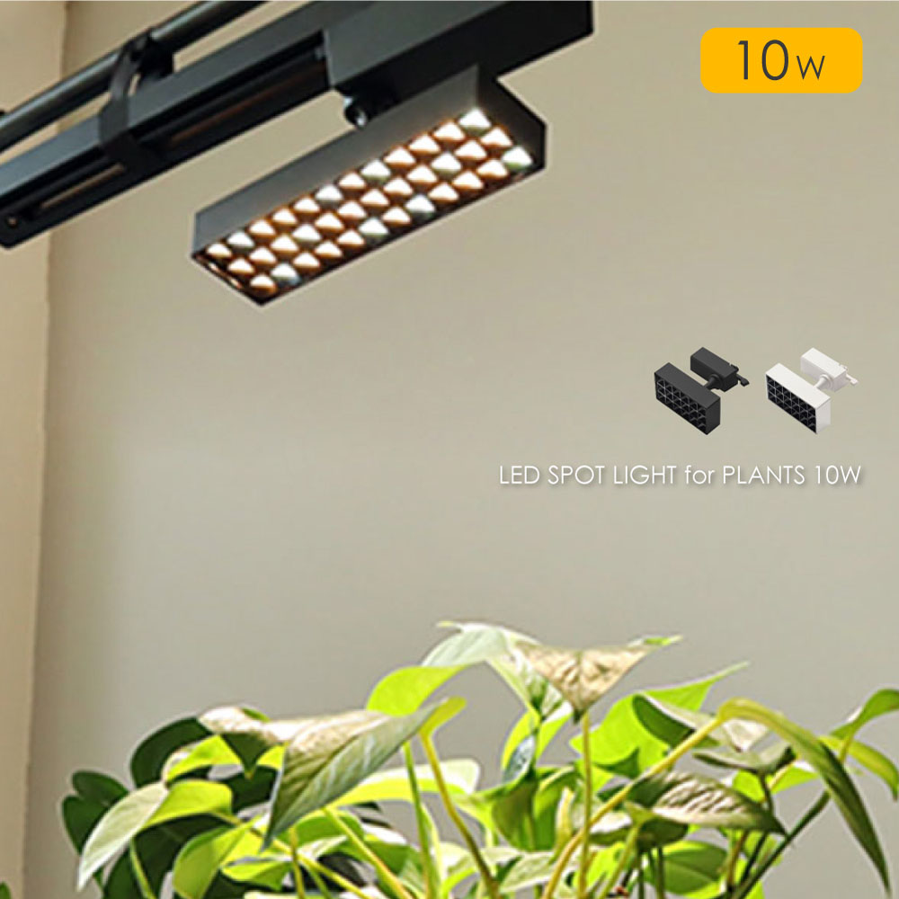 【楽天市場】BRID LED SPOT LIGHT for PLANTS 20W 植物育成 