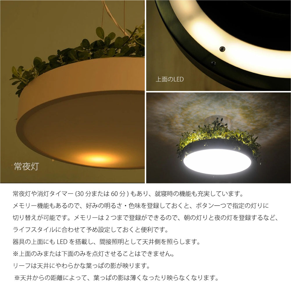 DI CLASSE LED モダン リビング lamp グレー 6畳 ナチュラル Giorno 8