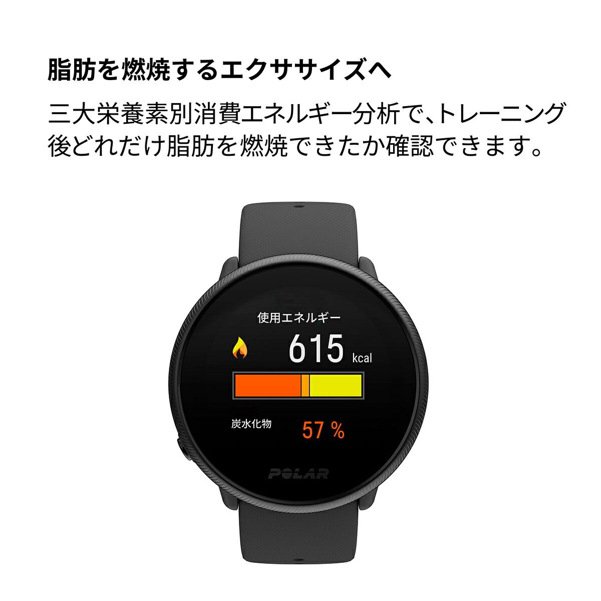 サービス POLAR POLAR IGNITE2 ブラック・パール 90085182 コジマPayPayモール店 - 通販 - PayPayモール  します - shineray.com.br