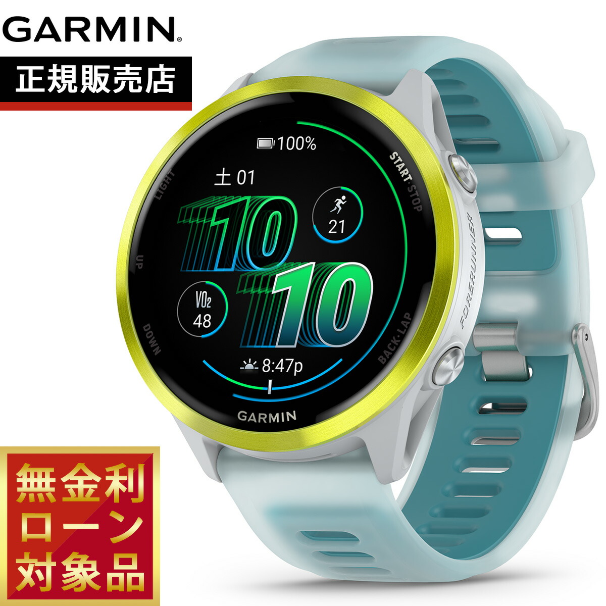 楽天市場】【10%OFFクーポン！＆店内ポイント最大42倍！11月1日