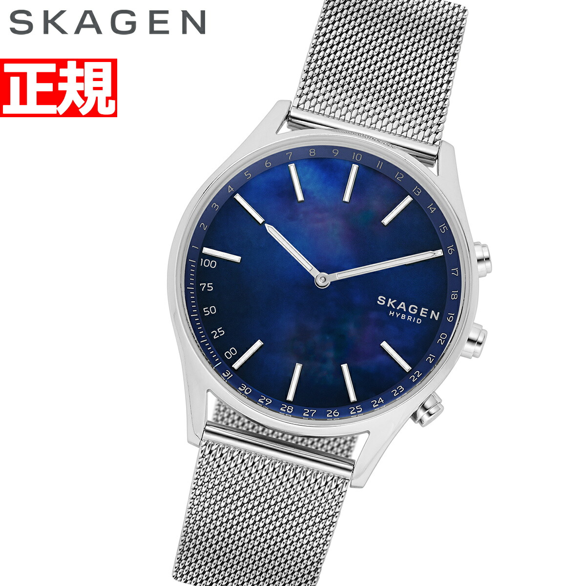 skt1313