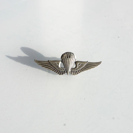 楽天市場】米軍グッズ ピンバッジ アメリカ空軍 U.S.AIRFORCE 全