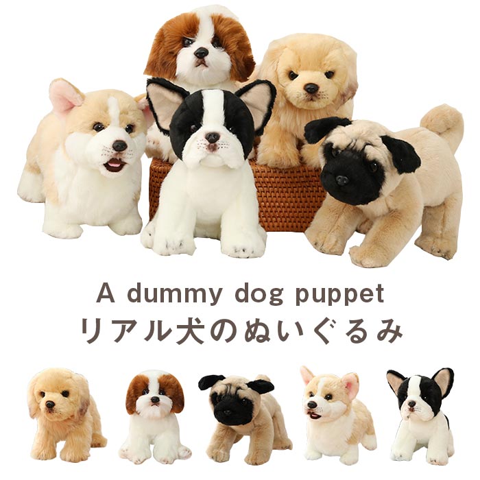 楽天市場】ボクサー(2L) douglas toy ダグラス社 犬 ぬいぐるみ リアル