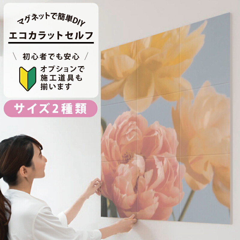 最終値下げ！エコカラットプラス スターターキット おまけが10781円以上つき 最終値下げ！エコカラットプラス スターターキット おまけが以上つき