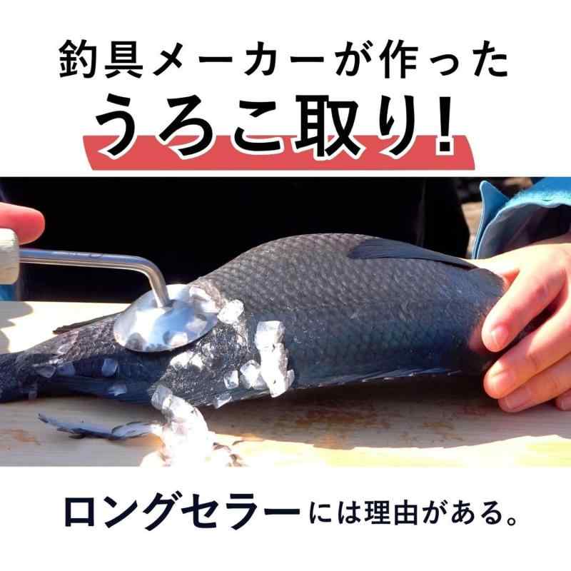 楽天市場】☆特価品30％OFF【ダイワ純正】23BG SW用純正スペアスプール