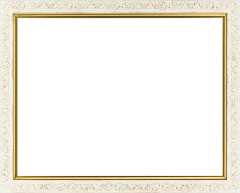 ゲルボア 軽量油彩用額縁 GD8201 UVカットアクリル仕様 壁用フック付 Fサイズ